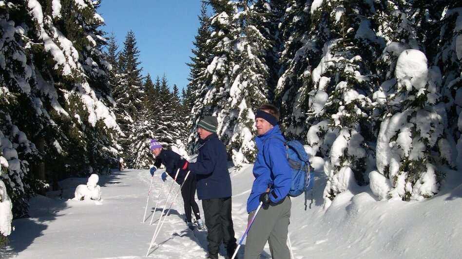 Ski-nordic-classic Teufelstein hiking trail, Fischbach - Touren-Impression #2.2 | © Tourismus Fischbach, Foto Johann Zink