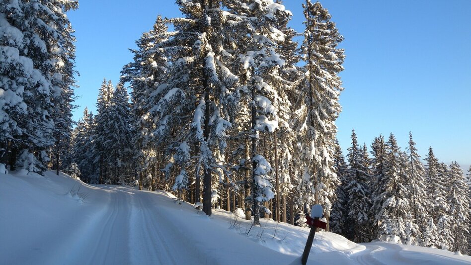 Ski-nordic-classic Teufelstein hiking trail, Fischbach - Touren-Impression #2.3 | © Tourismus Fischbach, Fotos Johann Zink