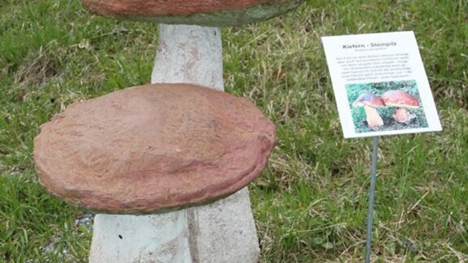 Themen- und Lehrpfad Naturlehrpfad - Touren-Impression #2.4 | © ARGE Naturerlebnisland Lipizzanerheimat