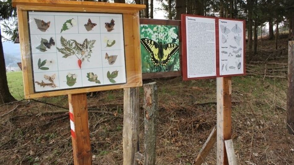 Themen- und Lehrpfad Naturlehrpfad - Touren-Impression #2.7 | © ARGE Naturerlebnisland Lipizzanerheimat