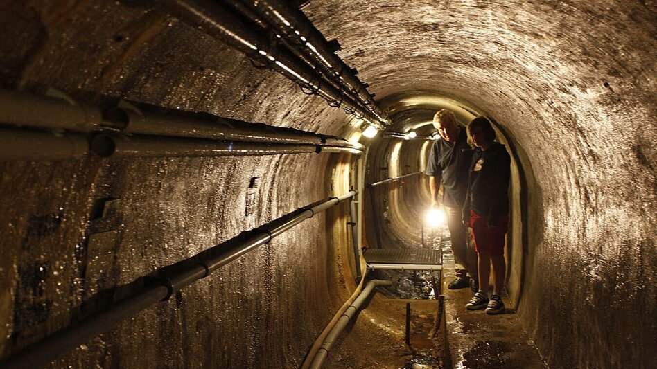 Themen- und Lehrpfad Naturlehrpfad - Touren-Impression #2.8 | © TV Lipizzanerheimat