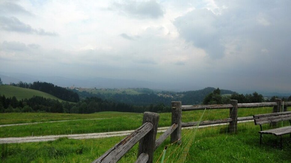Themen- und Lehrpfad Naturlehrpfad - Touren-Impression #2.14 | © TV Lipizzanerheimat