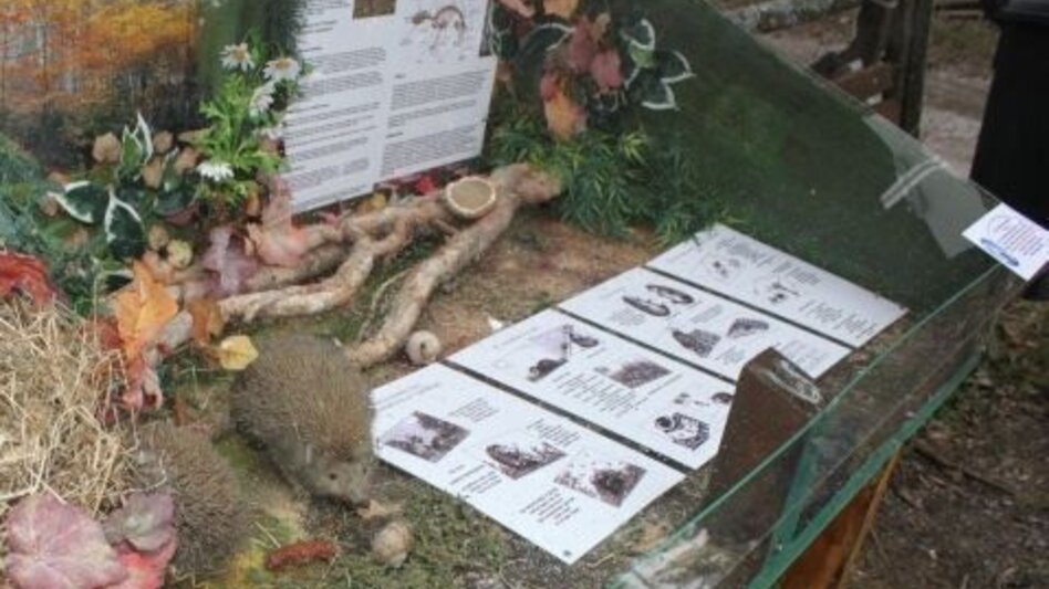 Themen- und Lehrpfad Naturlehrpfad - Touren-Impression #2.17 | © ARGE Naturerlebnisland Lipizzanerheimat