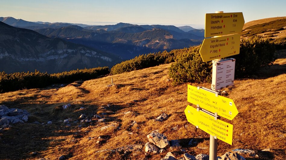 Hiking route Culinary Hike from Hut to Hut in the Mürzer Oberland Nature Park - Touren-Impression #2.7 | © TV Hochsteiermark