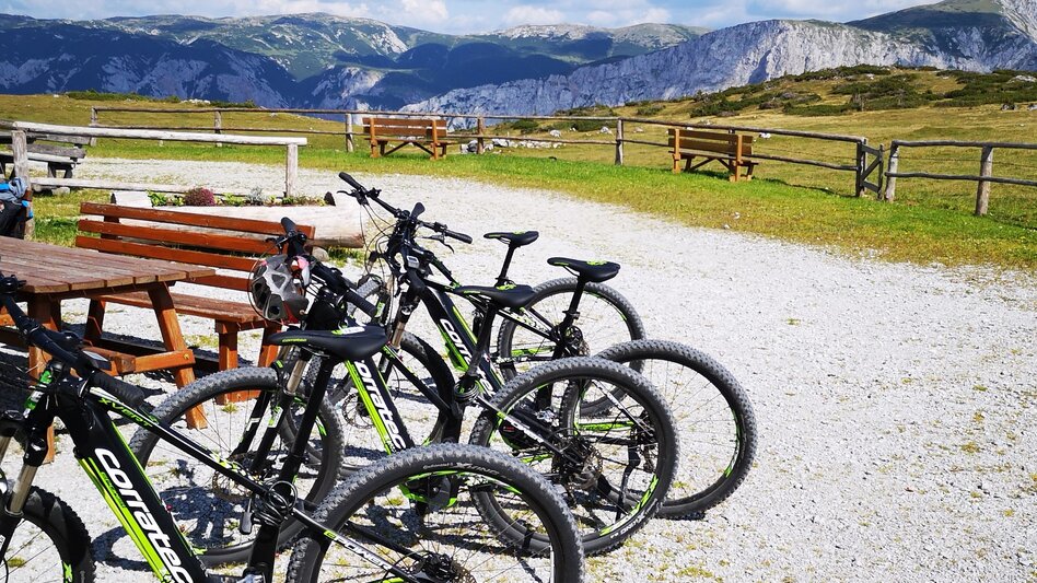Hiking route Culinary Hike from Hut to Hut in the Mürzer Oberland Nature Park - Touren-Impression #2.9 | © TV Hochsteiermark