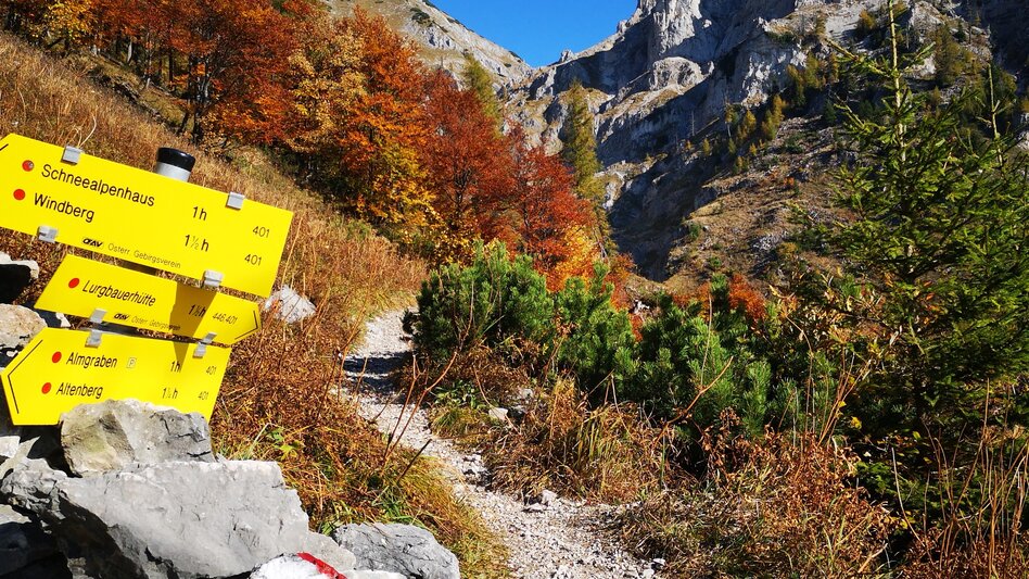 Hiking route Culinary Hike from Hut to Hut in the Mürzer Oberland Nature Park - Touren-Impression #2.16 | © TV Hochsteiermark