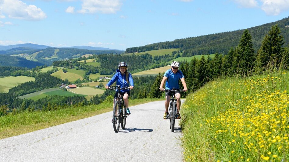 Bike Riding The Grand Jogl Tour – version 1: via Miesenbach, Vorau - Touren-Impression #2.3 | © Gery Wolf