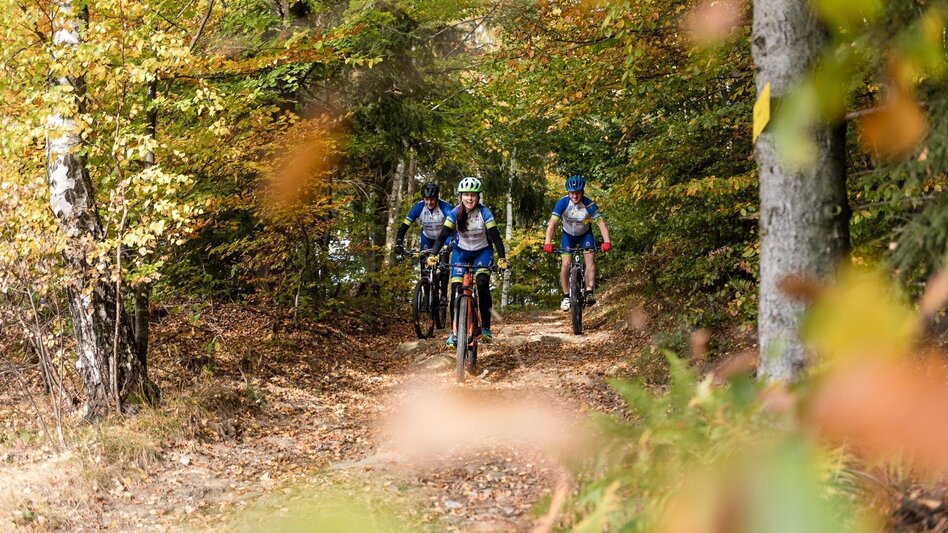 Bike Riding The Grand Jogl Tour – version 1: via Miesenbach, Vorau - Touren-Impression #2.5 | © Zsolt Marton
