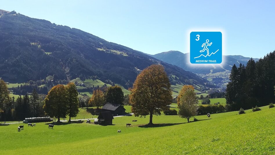 Trailrunning Birnberg Trail (Nr. 3) - Touren-Impression #2.5 | © Erlebnisregion Schladming-Dachstein