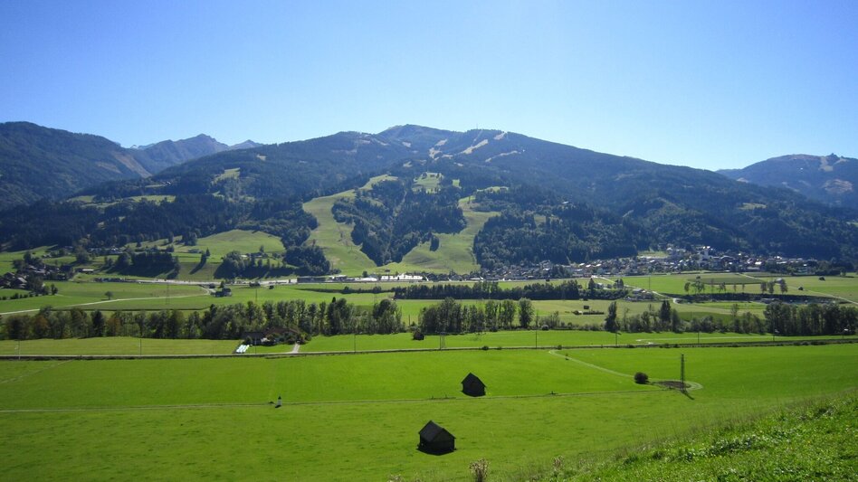Trailrunning Birnberg Trail (Nr. 3) - Touren-Impression #2.3 | © TVB Haus-Aich-Gössenberg