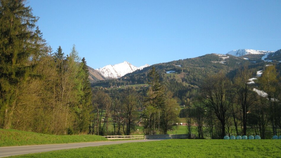 Trailrunning Birnberg Trail (Nr. 3) - Touren-Impression #2.4 | © TVB Haus-Aich-Gössenberg