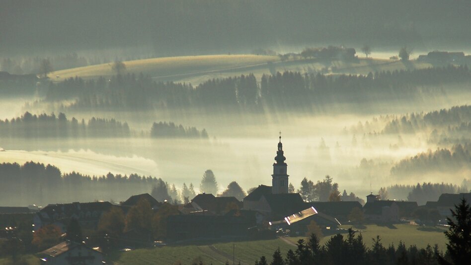 Nordic Walking Does Me Good Trail, Wenigzell - Touren-Impression #2.3 | © Steininger