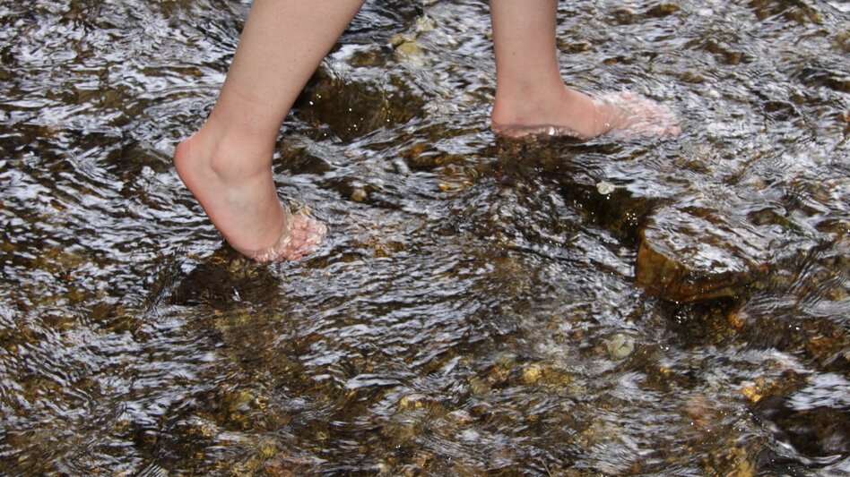 Nordic Walking TOTA MAGOS Trail, Wenigzell - Touren-Impression #2.4 | © Rupert Augustin