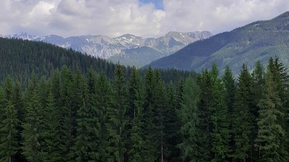 Wanderung Sommerstall-Weg in Etmißl - Touren-Impression #2.3 | © TV Hochsteiermark