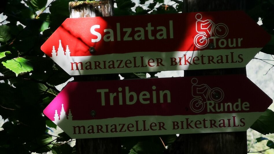 Bike Riding Salzatal Tour - Touren-Impression #2.3 | © TV Hochsteiermark