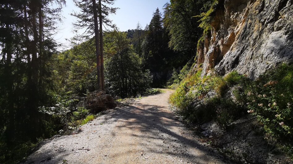 Bike Riding Salzatal Tour - Touren-Impression #2.9 | © TV Hochsteiermark