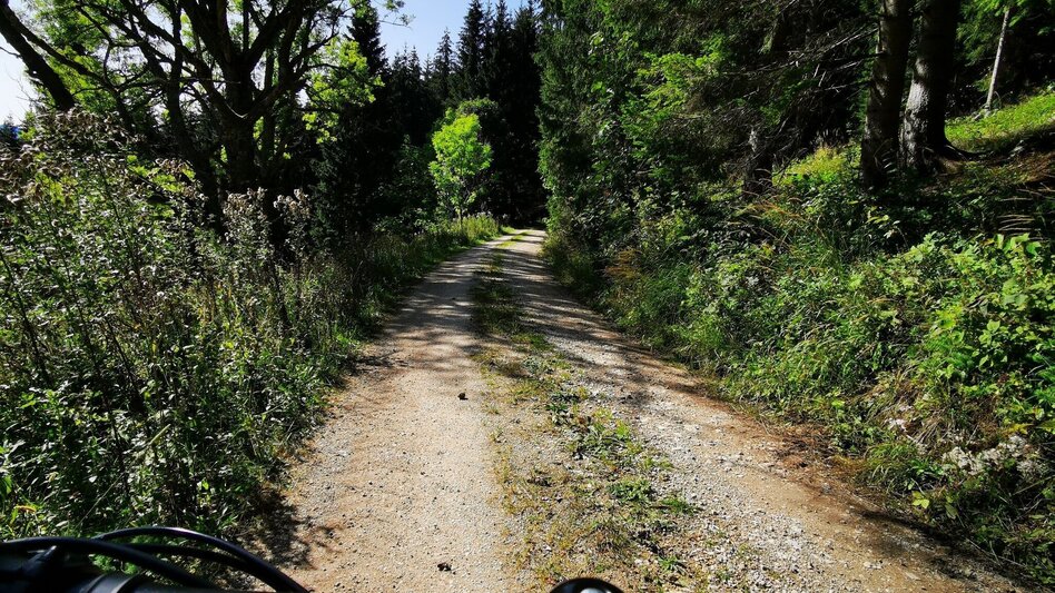 Bike Riding Salzatal Tour - Touren-Impression #2.5 | © TV Hochsteiermark