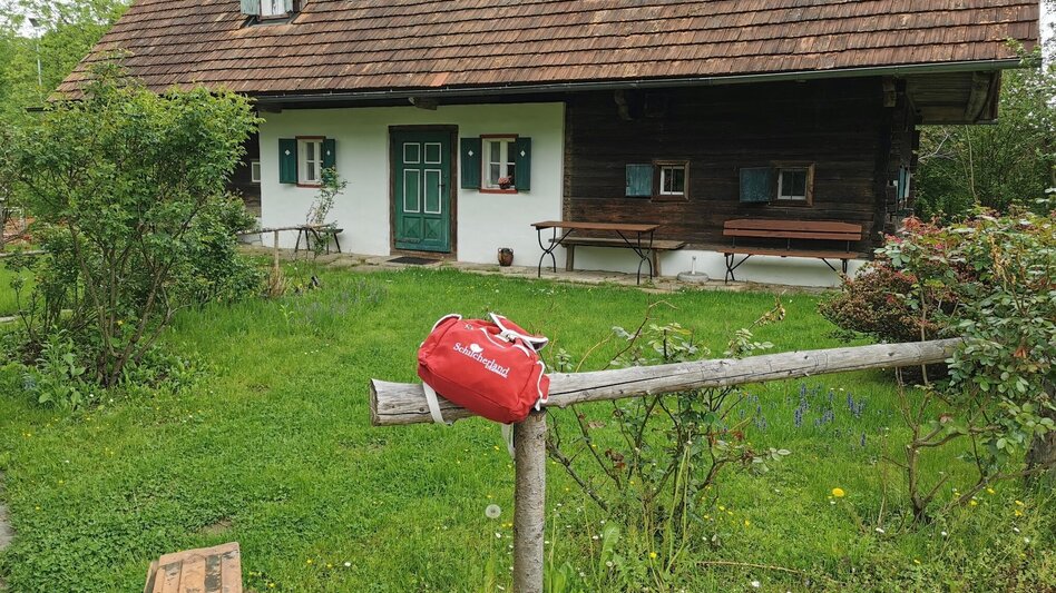 Wanderung Tier mal Vier Nr. 11, 59, 551, 60, 56 - Touren-Impression #2.3 | © Schilcherland Steiermark