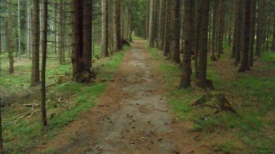 Hiking route Waldwanderung: Altes Almhaus - St. Hemma - Touren-Impression #2.1 | © TV Lipizzanerheimat