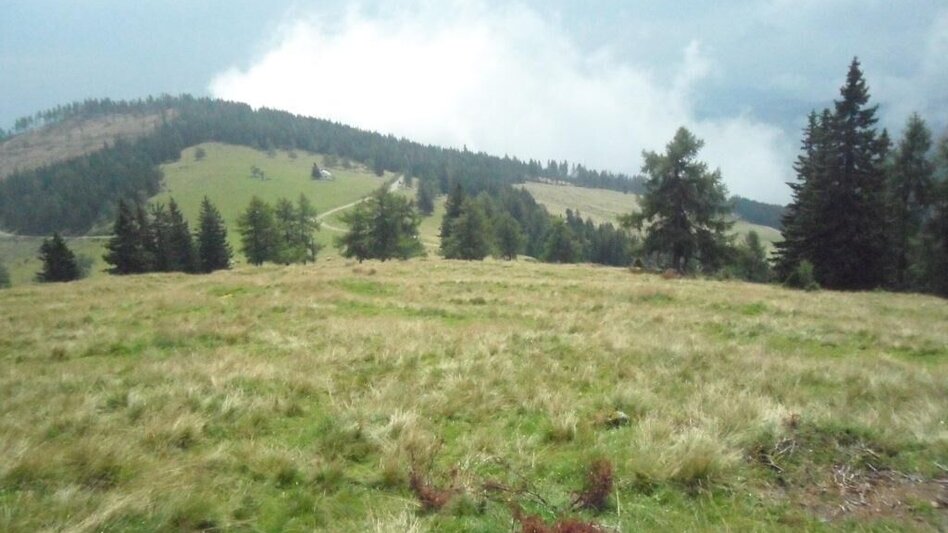 Hiking route Waldwanderung: Altes Almhaus - St. Hemma - Touren-Impression #2.3 | © TV Lipizzanerheimat