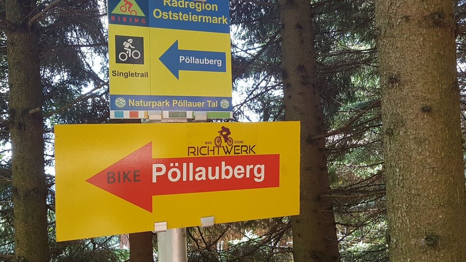 Mountain Biking MTB tour via Masenberg, Pöllau - Touren-Impression #2.2 | © Oststeiermark Tourismus