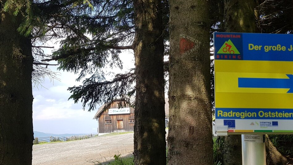 Mountain Biking MTB tour via Masenberg, Pöllau - Touren-Impression #2.9 | © Oststeiermark Tourismus