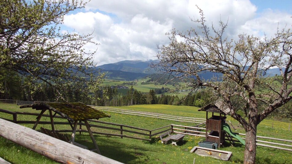 Hiking route Jakobsberg circuit - Touren-Impression #2.1 | © Tourismusverband Murau