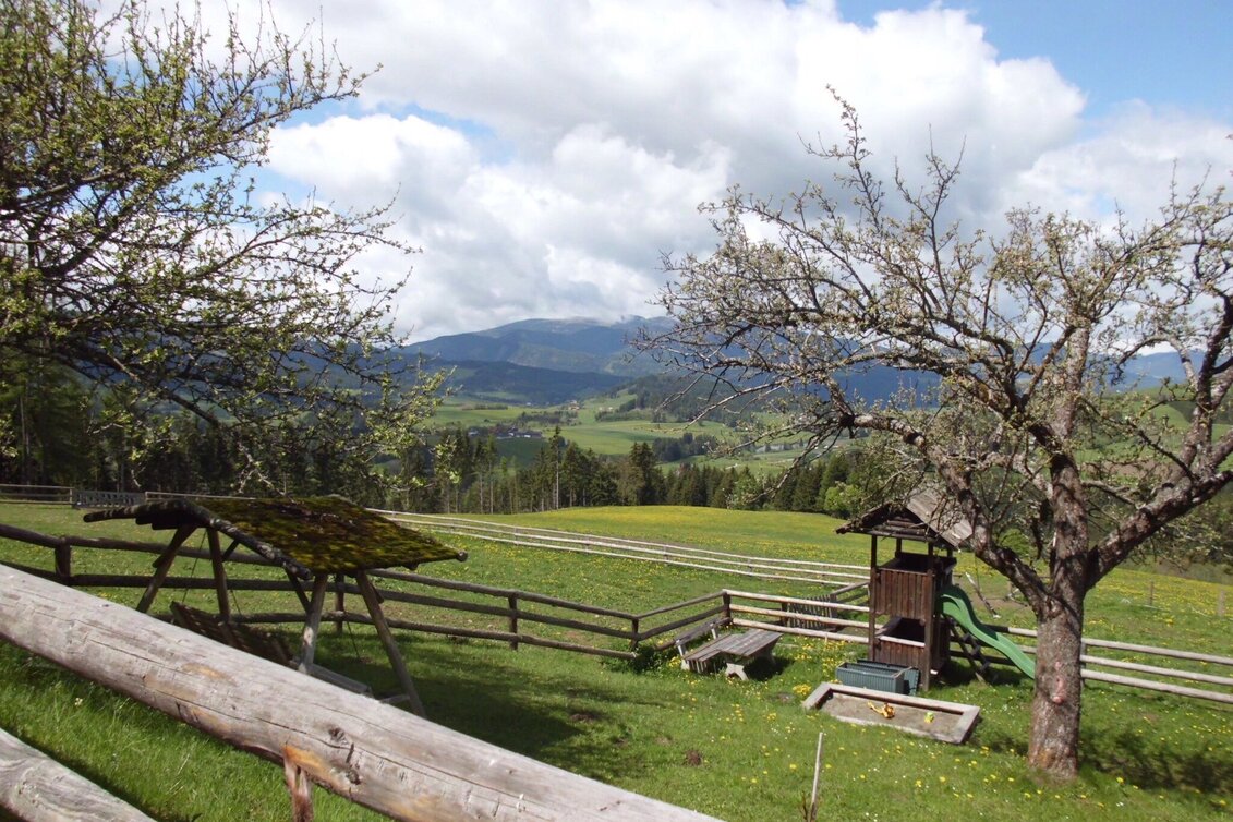 Hiking route Jakobsberg circuit - Touren-Impression #1 | © Tourismusverband Murau