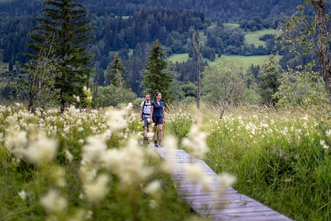 Hiking route Althaus-Hörfeld-Round - Touren-Impression #1 | © Tourismusverband Murau