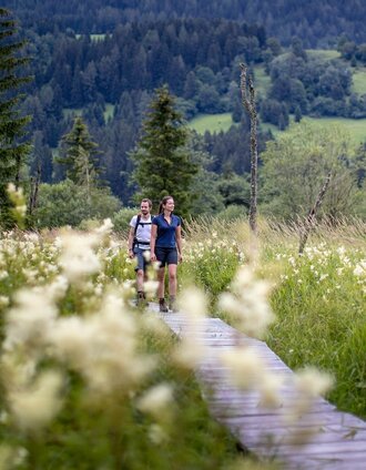 Hörfeld Moor | Tom Lamm | © Tourismusverband Murau