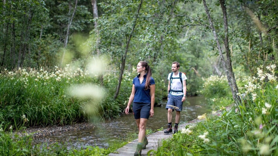 Hiking route Althaus-Hörfeld-Round - Touren-Impression #2.2 | © Tourismusverband Murau