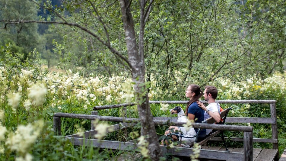 Hiking route Althaus-Hörfeld-Round - Touren-Impression #2.3 | © Tourismusverband Murau
