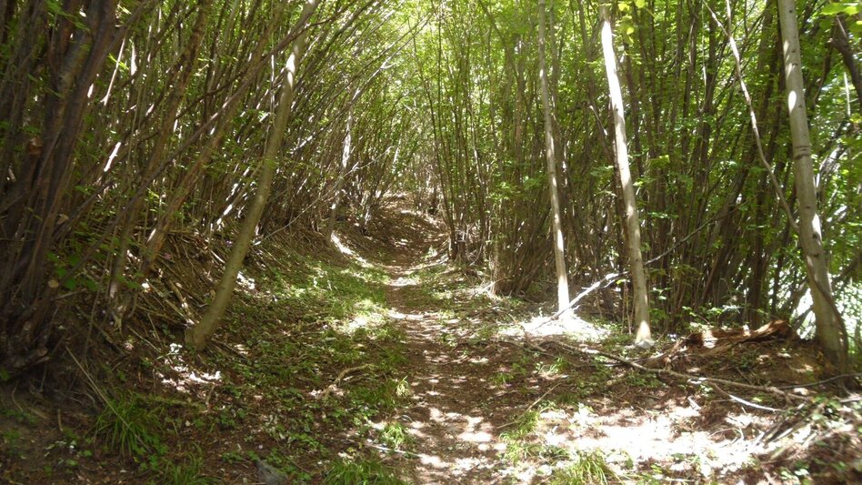 Wanderung Kurzreise auf den Kirchberg - Touren-Impression #2.18 | © Region Graz