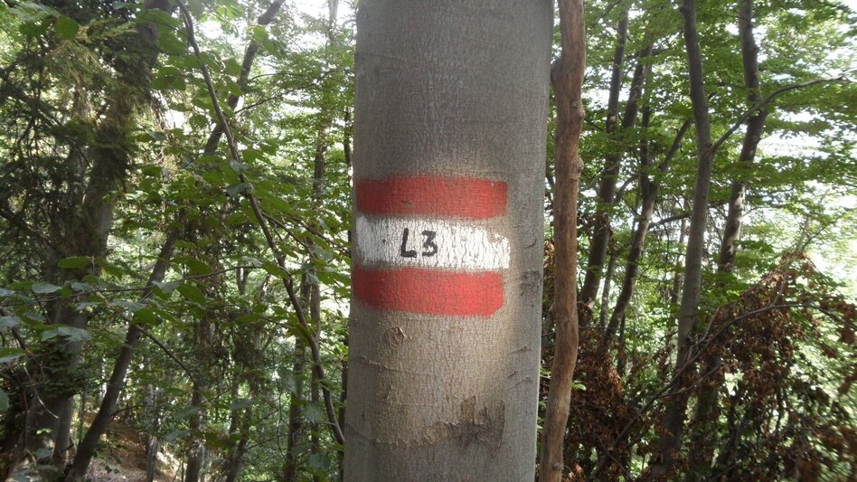 Wanderung Kurzreise auf den Kirchberg - Touren-Impression #2.19 | © Region Graz