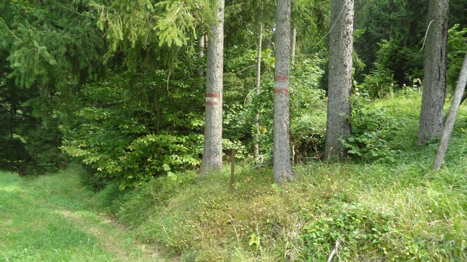 Wanderung Kurzreise auf den Kirchberg - Touren-Impression #2.20 | © Region Graz