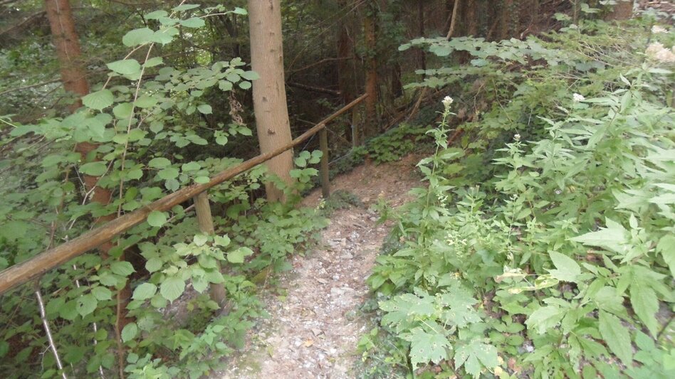 Wanderung Kurzreise auf den Kirchberg - Touren-Impression #2.21 | © Region Graz