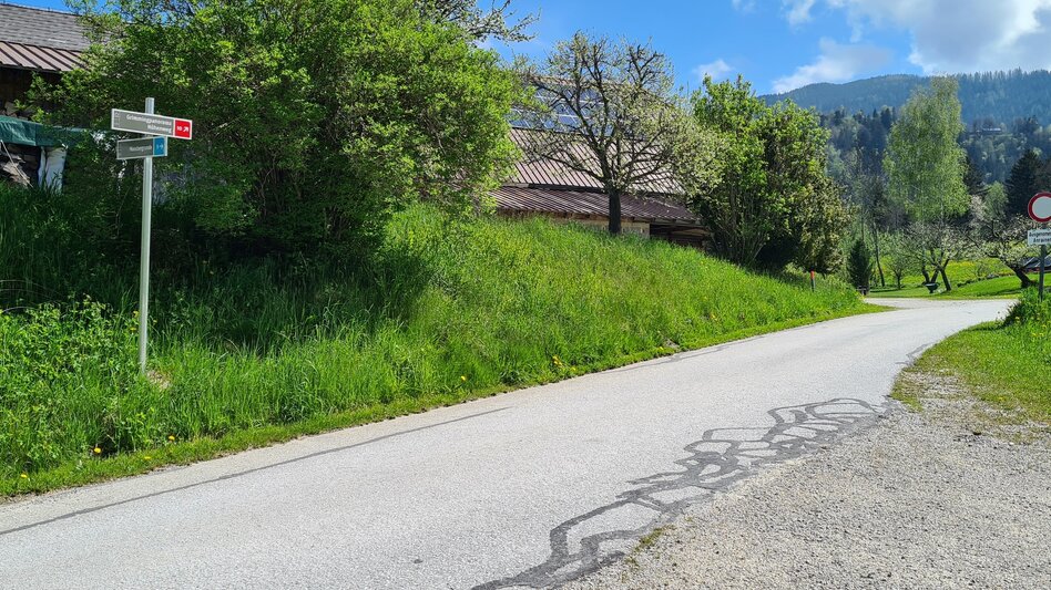 Kinderwagenmeilen Moosbergrunde Niederöblarn - Touren-Impression #2.2 | © Erlebnisregion Schladming-Dachstein