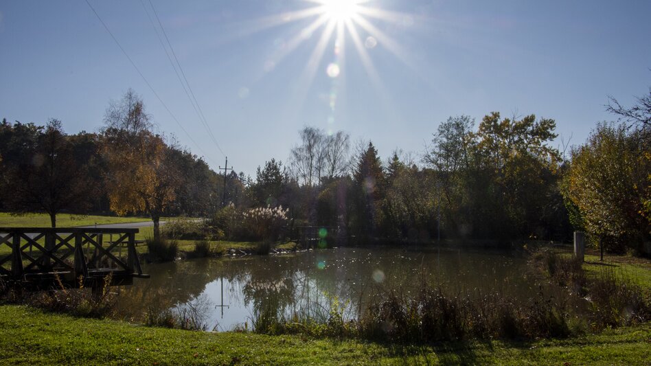 Hiking route Stone brook ditch path (Steinbachgrabenweg) - Touren-Impression #2.4 | © Kurkommission Bad Blumau