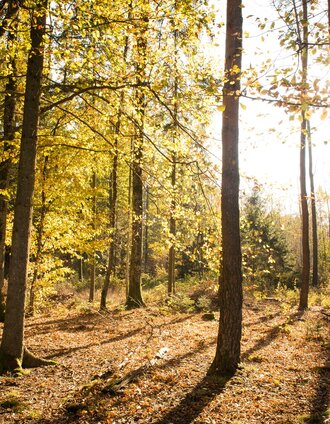 Jennifer Rath | © Kurkommission Bad Blumau