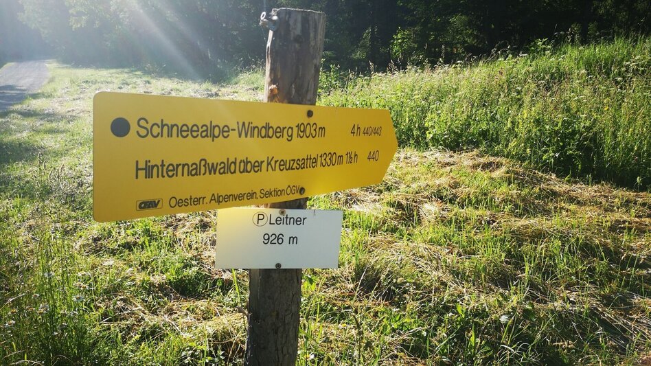 Hiking route From Steinalpl, hike via Kleinboden to Windberg in the Mürzer Oberland Nature Park. - Touren-Impression #2.1 | © TV Hochsteiermark