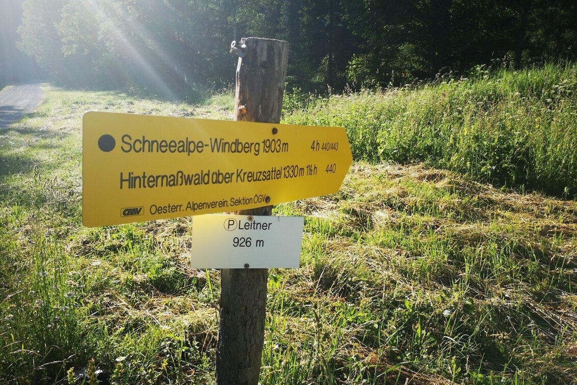 Hiking route From Steinalpl, hike via Kleinboden to Windberg in the Mürzer Oberland Nature Park. - Touren-Impression #1 | © TV Hochsteiermark