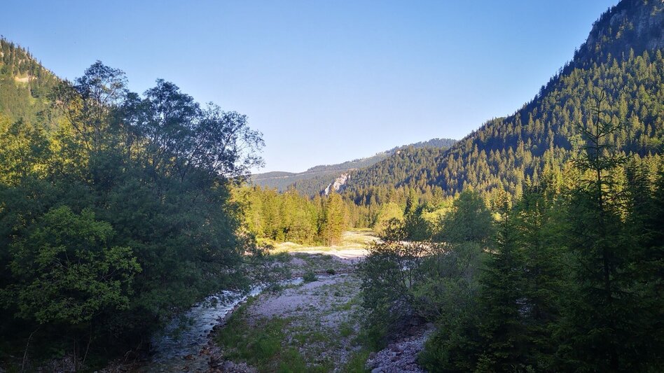 Hiking route From Steinalpl, hike via Kleinboden to Windberg in the Mürzer Oberland Nature Park. - Touren-Impression #2.4 | © TV Hochsteiermark