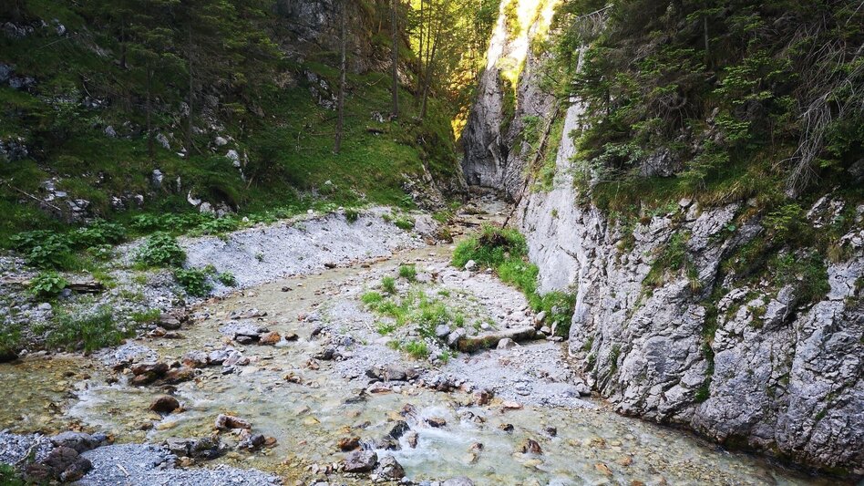 Hiking route From Steinalpl, hike via Kleinboden to Windberg in the Mürzer Oberland Nature Park. - Touren-Impression #2.5 | © TV Hochsteiermark