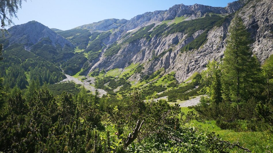 Hiking route From Steinalpl, hike via Kleinboden to Windberg in the Mürzer Oberland Nature Park. - Touren-Impression #2.6 | © TV Hochsteiermark