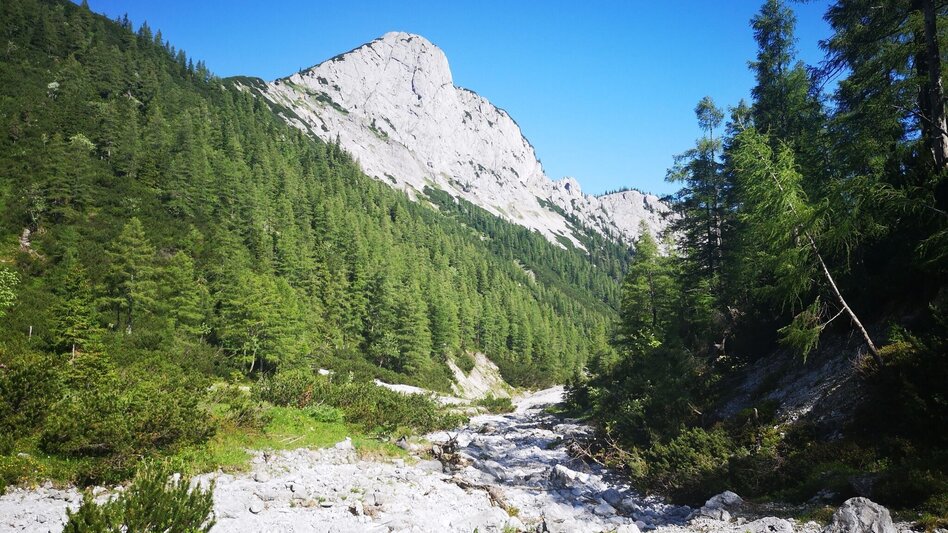 Hiking route From Steinalpl, hike via Kleinboden to Windberg in the Mürzer Oberland Nature Park. - Touren-Impression #2.9 | © TV Hochsteiermark