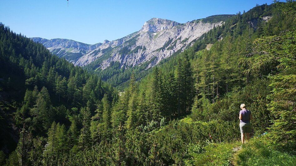 Hiking route From Steinalpl, hike via Kleinboden to Windberg in the Mürzer Oberland Nature Park. - Touren-Impression #2.10 | © TV Hochsteiermark