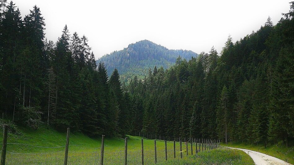 Hiking route Hike over the Senkstein to the Kleinveitschalm in the Mürzer Oberland Nature Park - Touren-Impression #2.1 | © TV Hochsteiermark