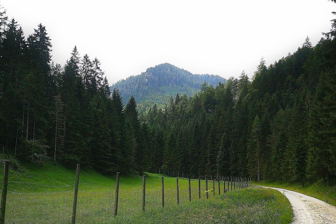 Hiking route Hike over the Senkstein to the Kleinveitschalm in the Mürzer Oberland Nature Park - Touren-Impression #1 | © TV Hochsteiermark