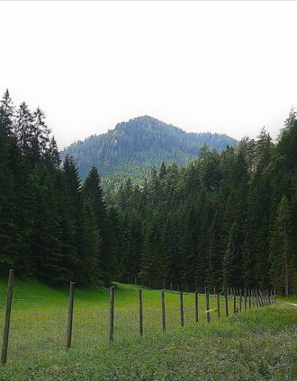Am Beginn der Tour im Brunntal | Andreas Steininger | © TV Hochsteiermark
