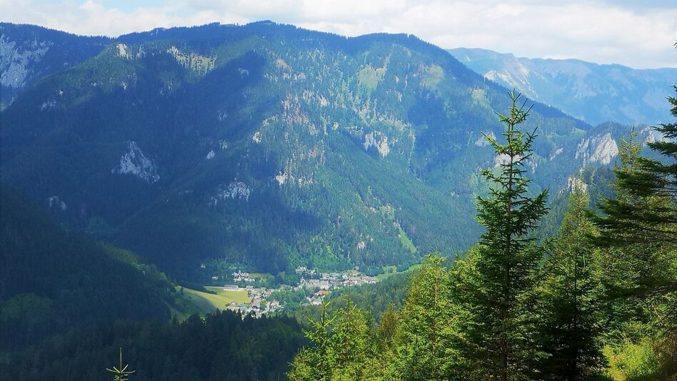 Hiking route Hike over the Senkstein to the Kleinveitschalm in the Mürzer Oberland Nature Park - Touren-Impression #2.2 | © TV Hochsteiermark